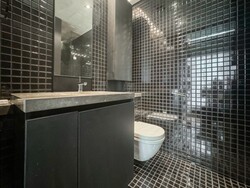 Skysuites@Anson (D2), Apartment #558185681